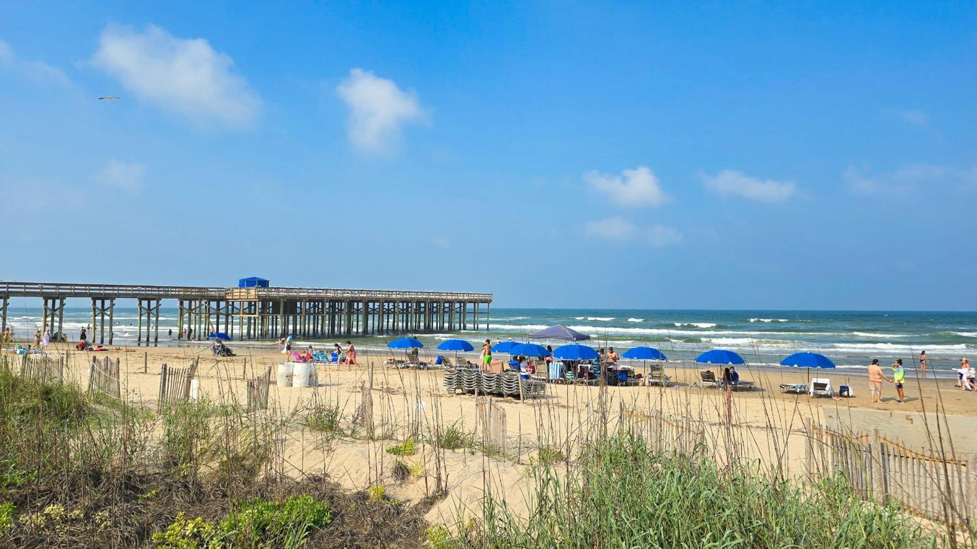 Herons Haven Coastal Elegance With Pool Access 223 South Padre Island